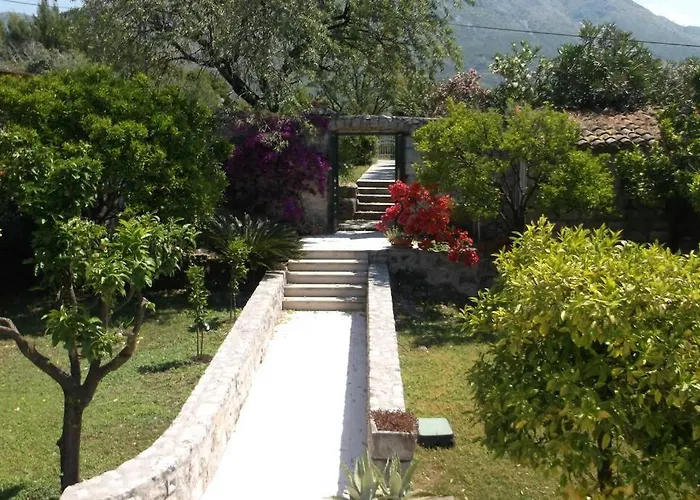 Apartment Charming For 3 Pax In